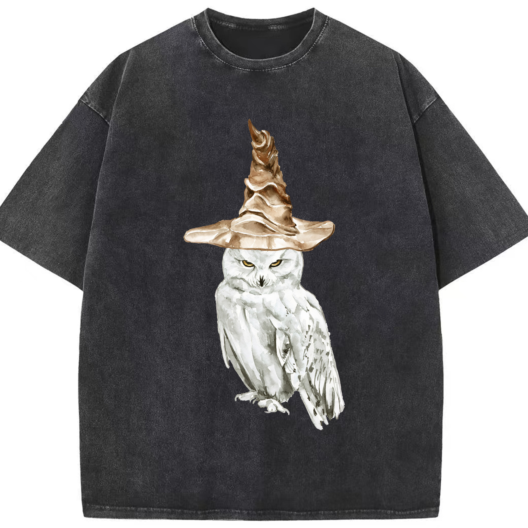（画像用） Harry Potter ハリー・ポッターシリーズ 綿100% ヴィンテージ風 半袖Tシャツ（フロントプリント）