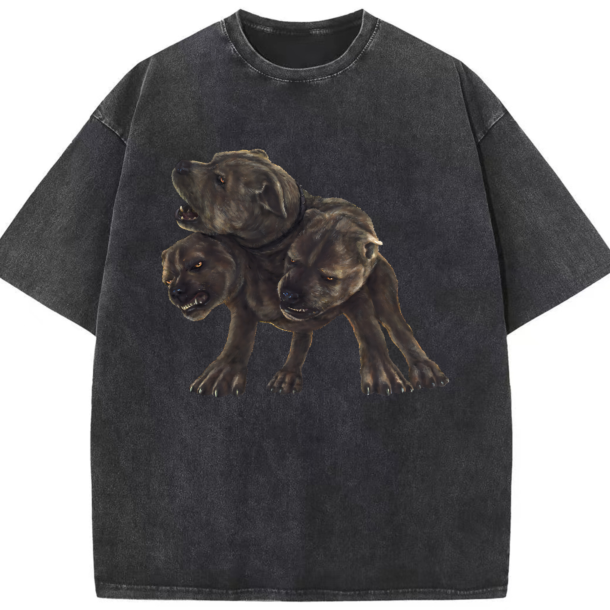 （画像用） Harry Potter ハリー・ポッターシリーズ 綿100% ヴィンテージ風 半袖Tシャツ（フロントプリント）