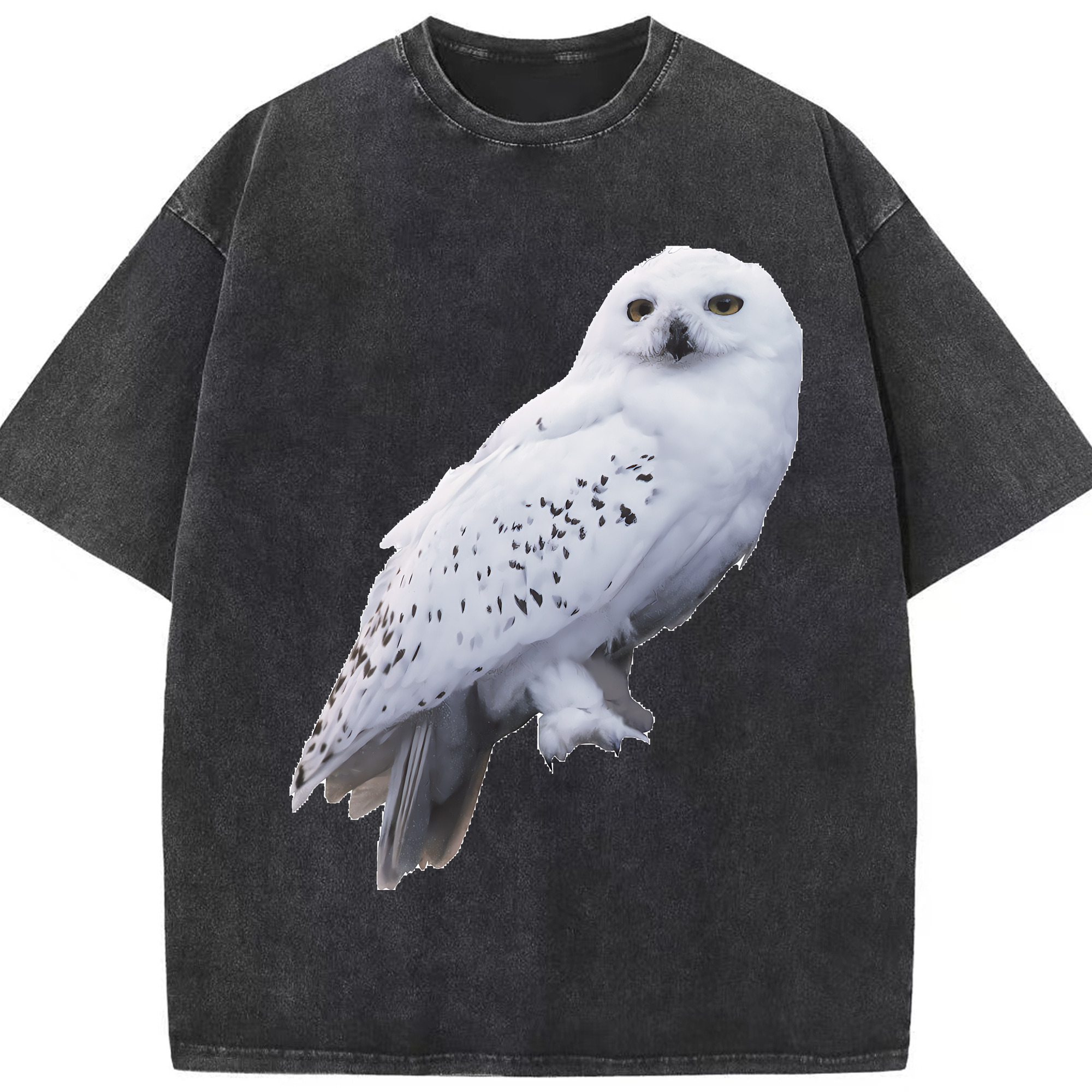 （画像用） Harry Potter ハリー・ポッターシリーズ 綿100% ヴィンテージ風 半袖Tシャツ（フロントプリント）