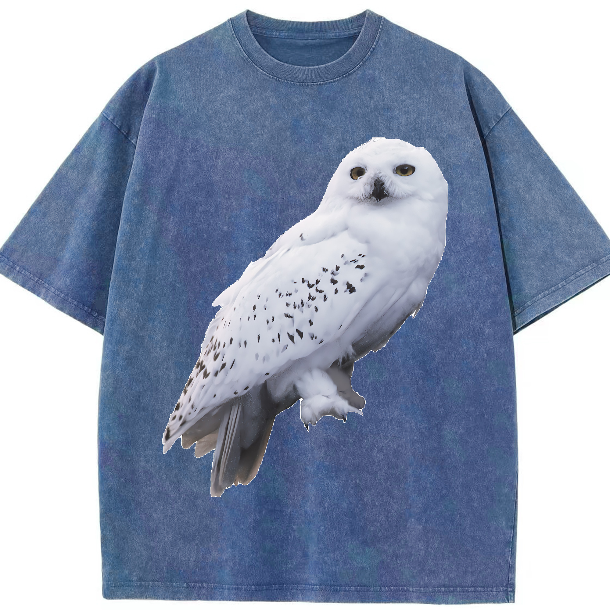（画像用） Harry Potter ハリー・ポッターシリーズ 綿100% ヴィンテージ風 半袖Tシャツ（フロントプリント）