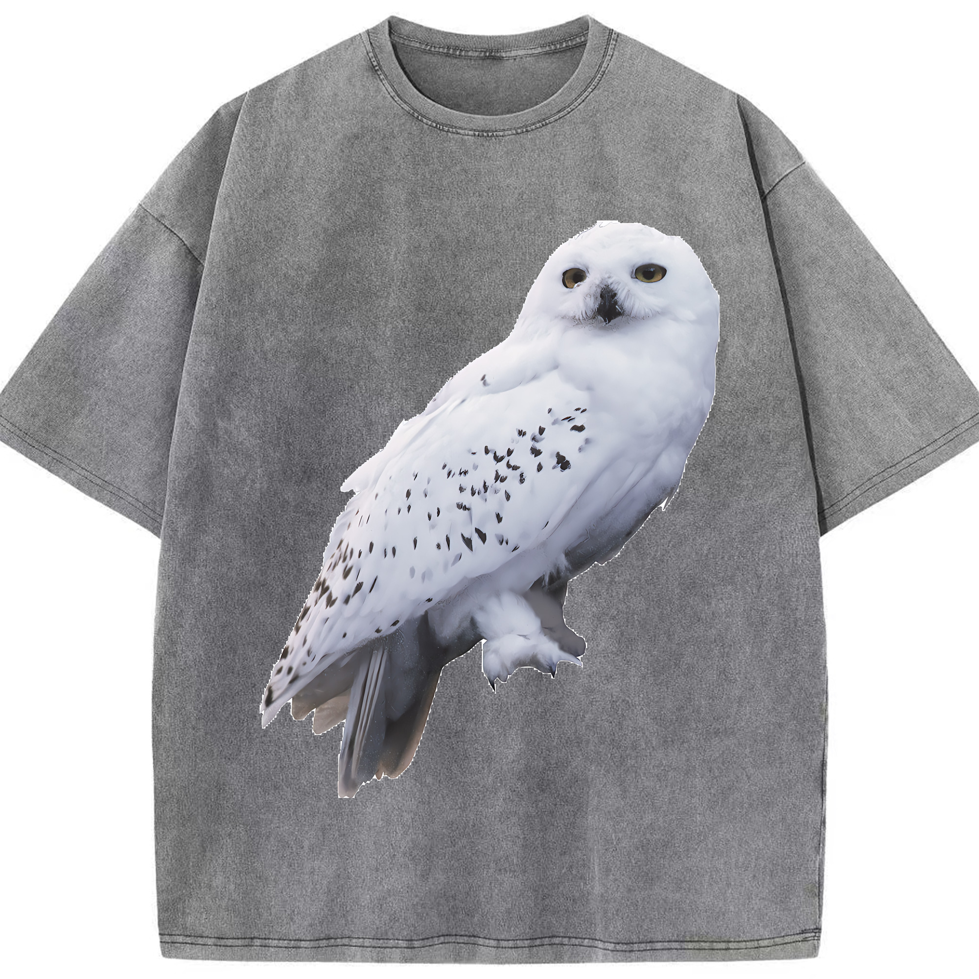 （画像用） Harry Potter ハリー・ポッターシリーズ 綿100% ヴィンテージ風 半袖Tシャツ（フロントプリント）