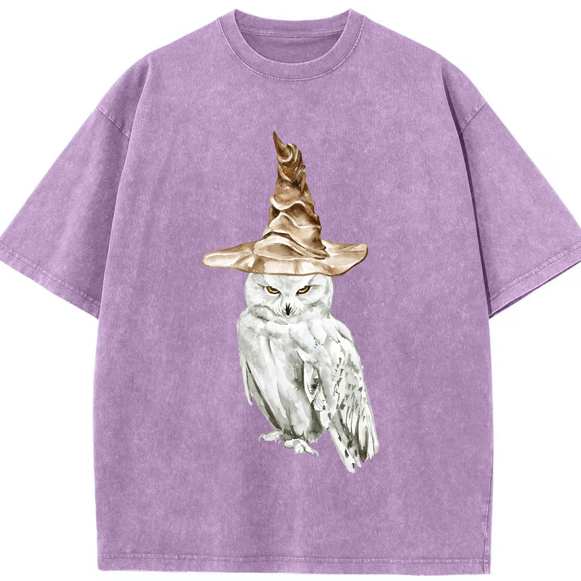 （画像用） Harry Potter ハリー・ポッターシリーズ 綿100% ヴィンテージ風 半袖Tシャツ（フロントプリント）