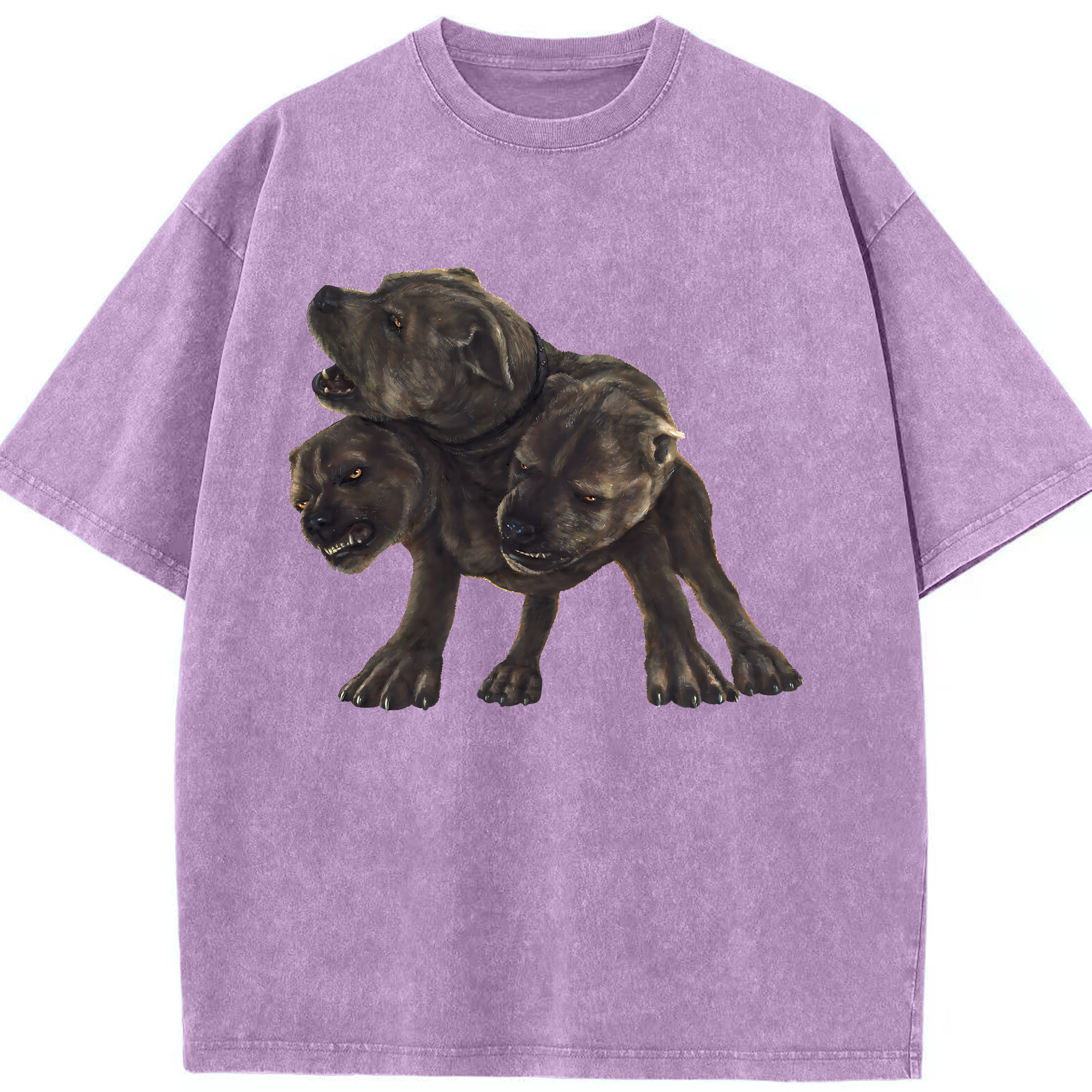 （画像用） Harry Potter ハリー・ポッターシリーズ 綿100% ヴィンテージ風 半袖Tシャツ（フロントプリント）