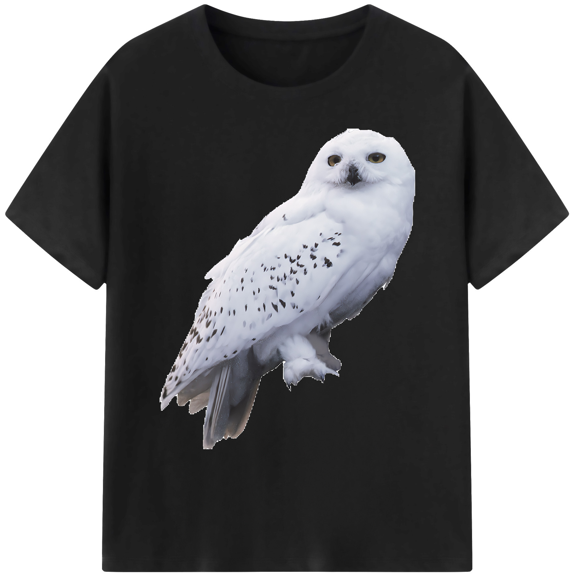 （画像用） Harry Potter ハリー・ポッターシリーズ 綿100％ メンズ半袖Tシャツ｜肌触りやわらか＆通気性