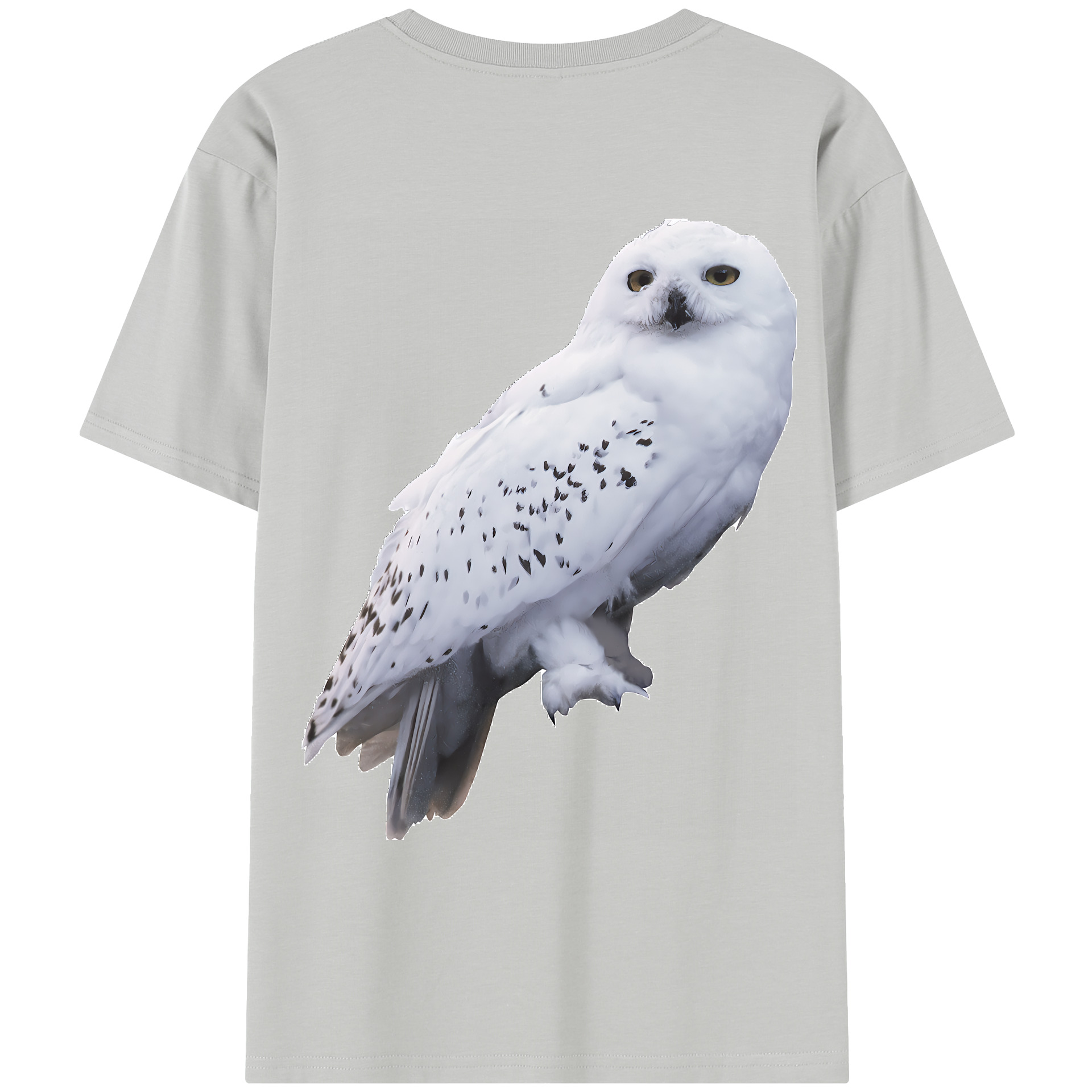 （画像用） Harry Potter ハリー・ポッターシリーズ レディース半袖Tシャツ(バックプリント)