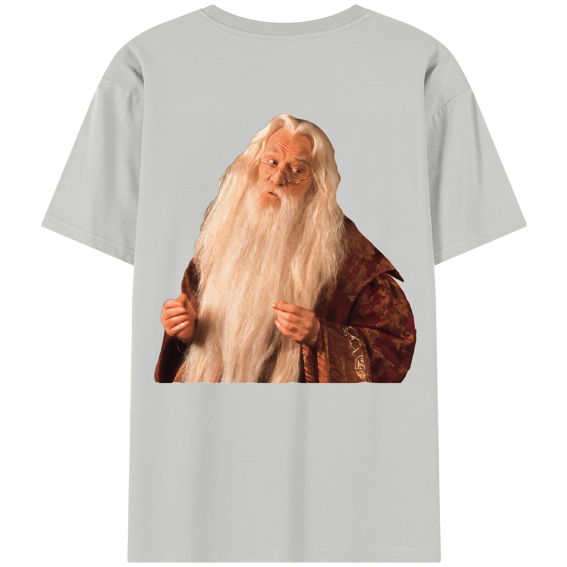 （画像用） Harry Potter ハリー・ポッターシリーズ レディース半袖Tシャツ(バックプリント)