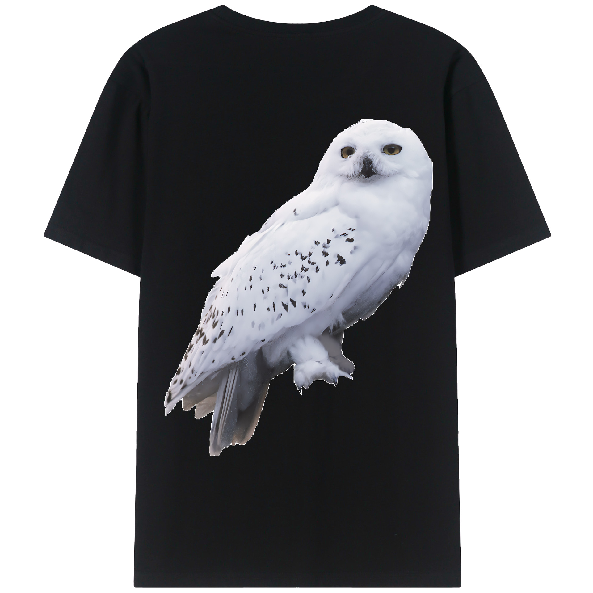 （画像用） Harry Potter ハリー・ポッターシリーズ レディース半袖Tシャツ(バックプリント)