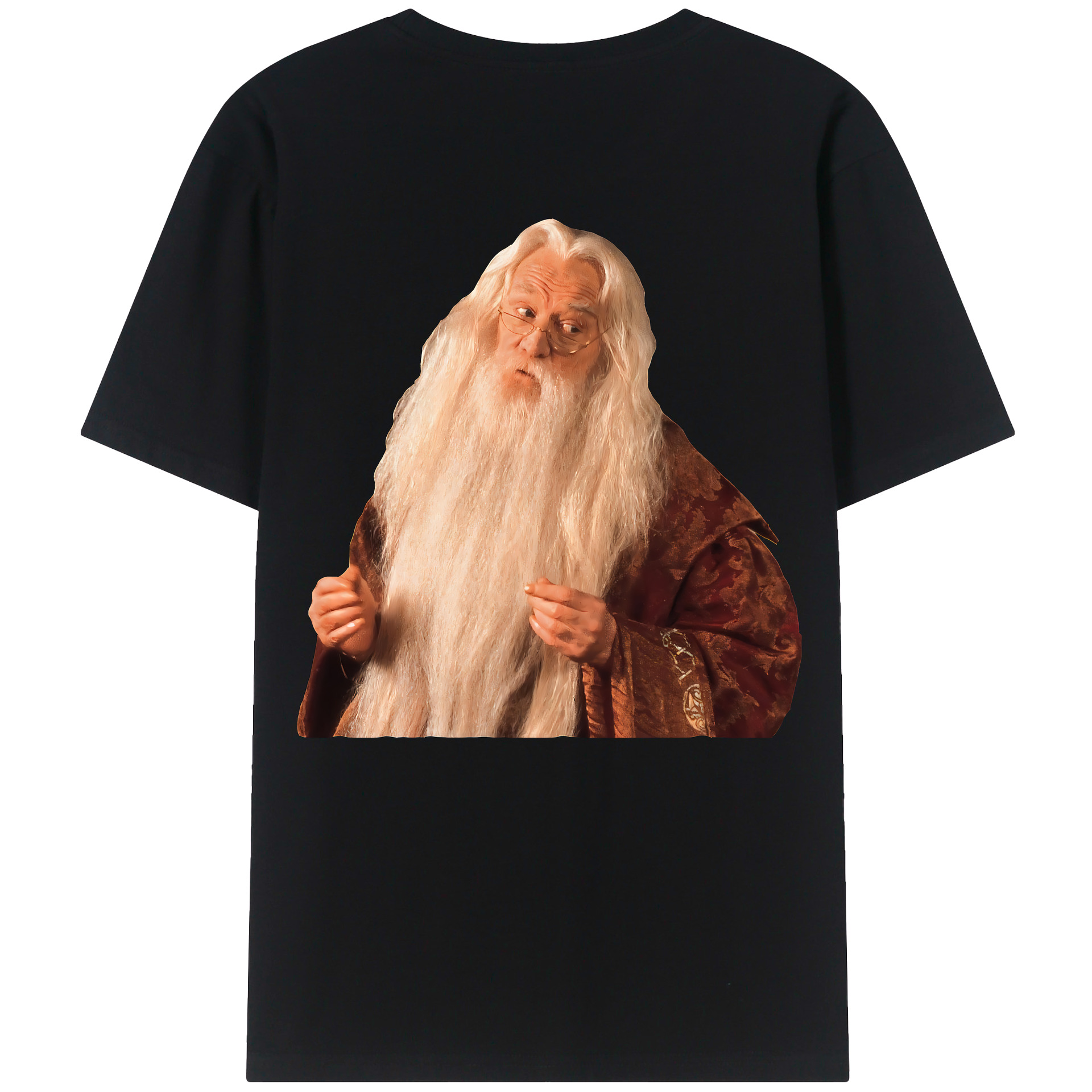 （画像用） Harry Potter ハリー・ポッターシリーズ レディース半袖Tシャツ(バックプリント)
