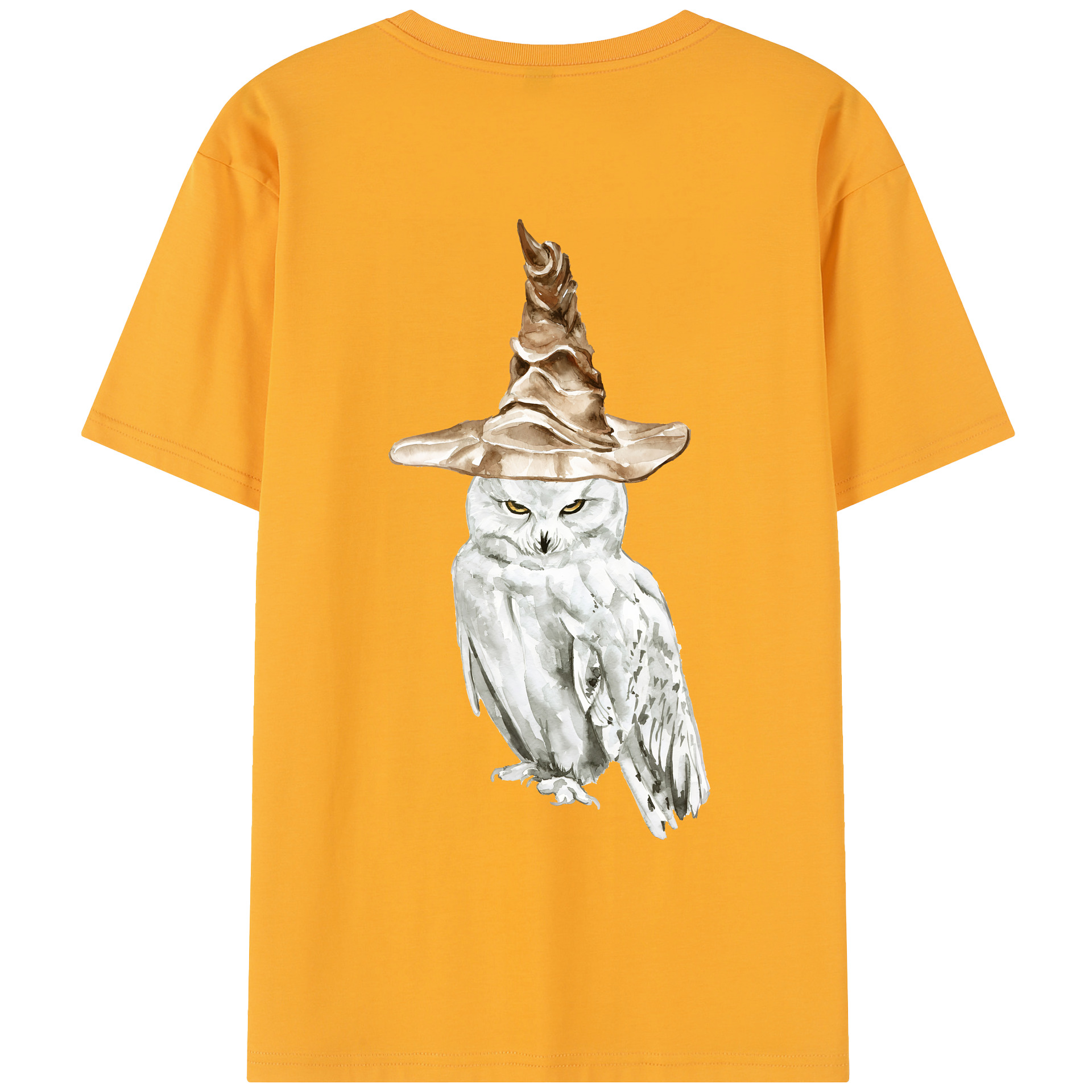 （画像用） Harry Potter ハリー・ポッターシリーズ レディース半袖Tシャツ(バックプリント)