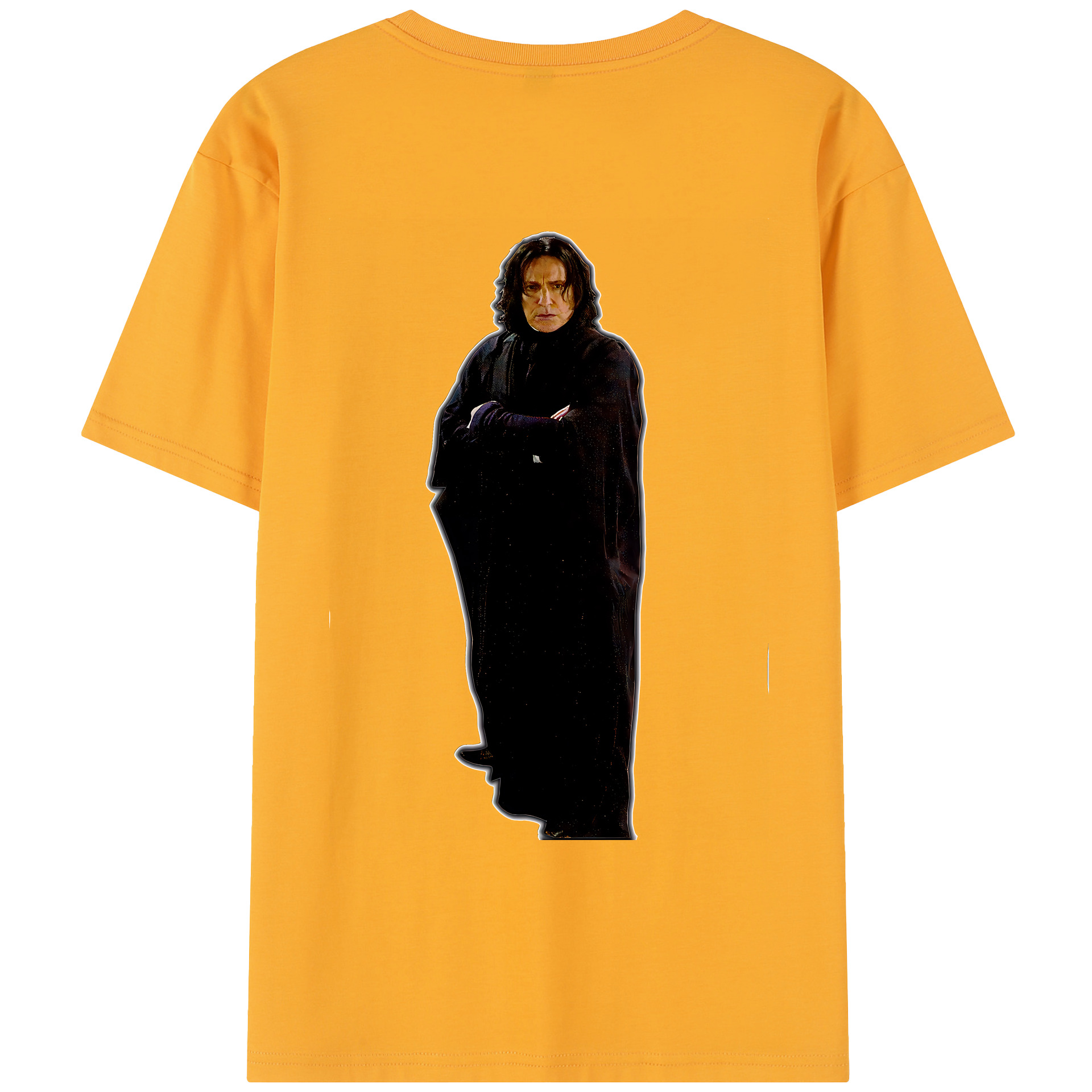 （画像用） Harry Potter ハリー・ポッターシリーズ レディース半袖Tシャツ(バックプリント)