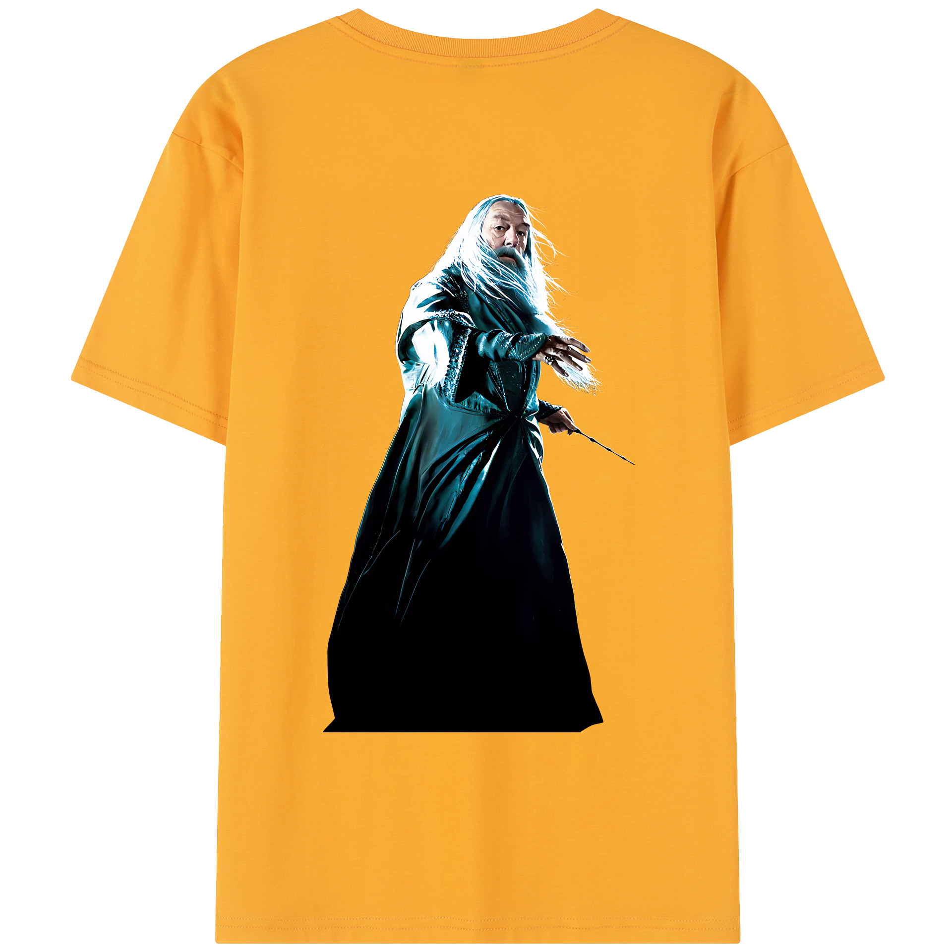 （画像用） Harry Potter ハリー・ポッターシリーズ レディース半袖Tシャツ(バックプリント)