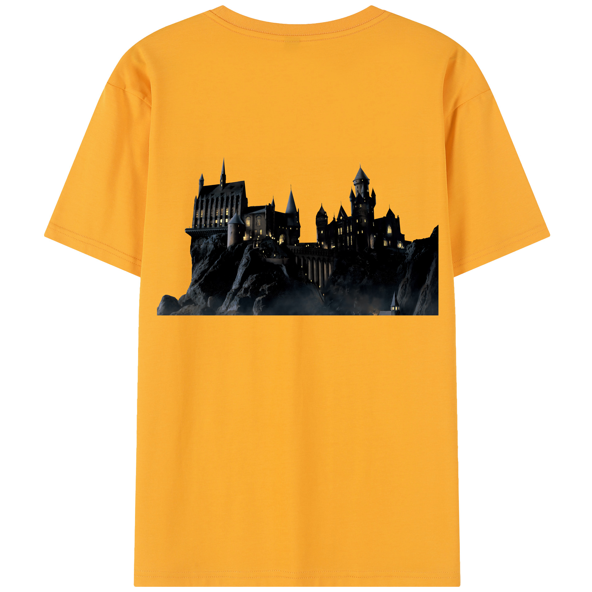 （画像用） Harry Potter ハリー・ポッターシリーズ レディース半袖Tシャツ(バックプリント)