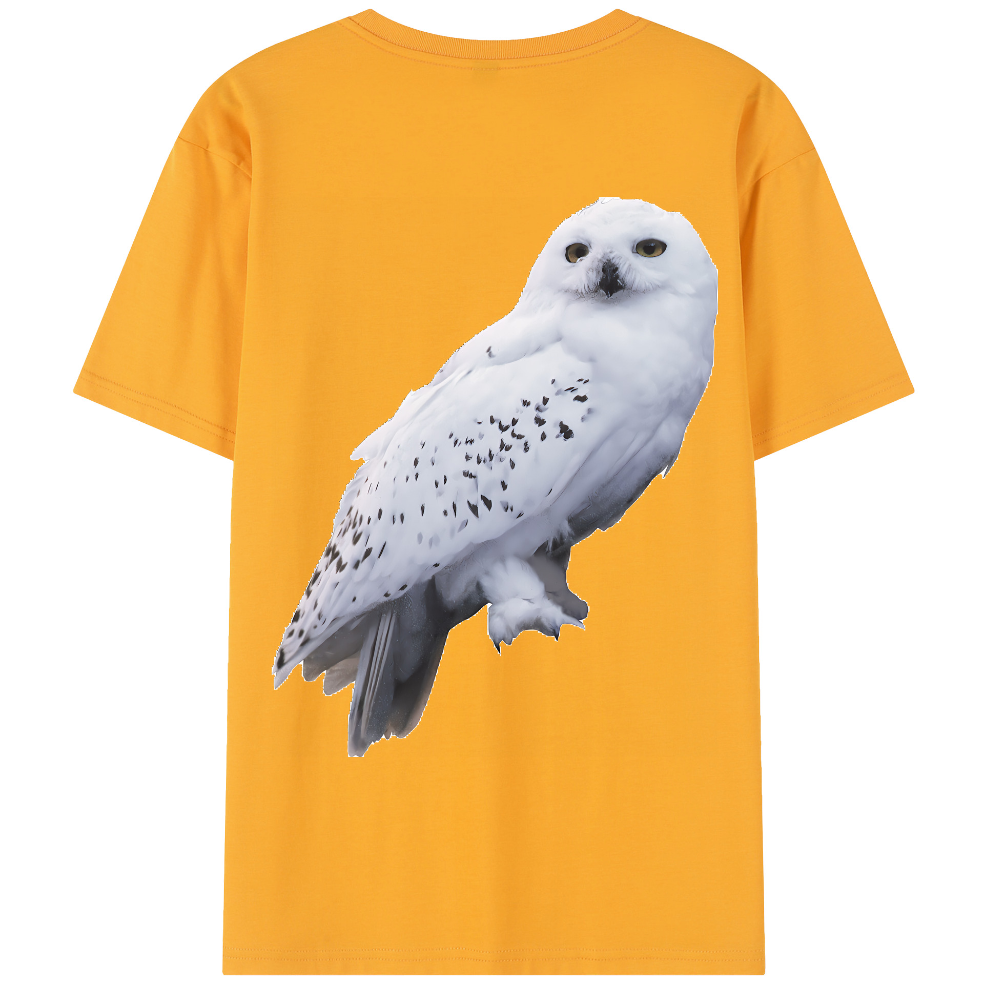 （画像用） Harry Potter ハリー・ポッターシリーズ レディース半袖Tシャツ(バックプリント)