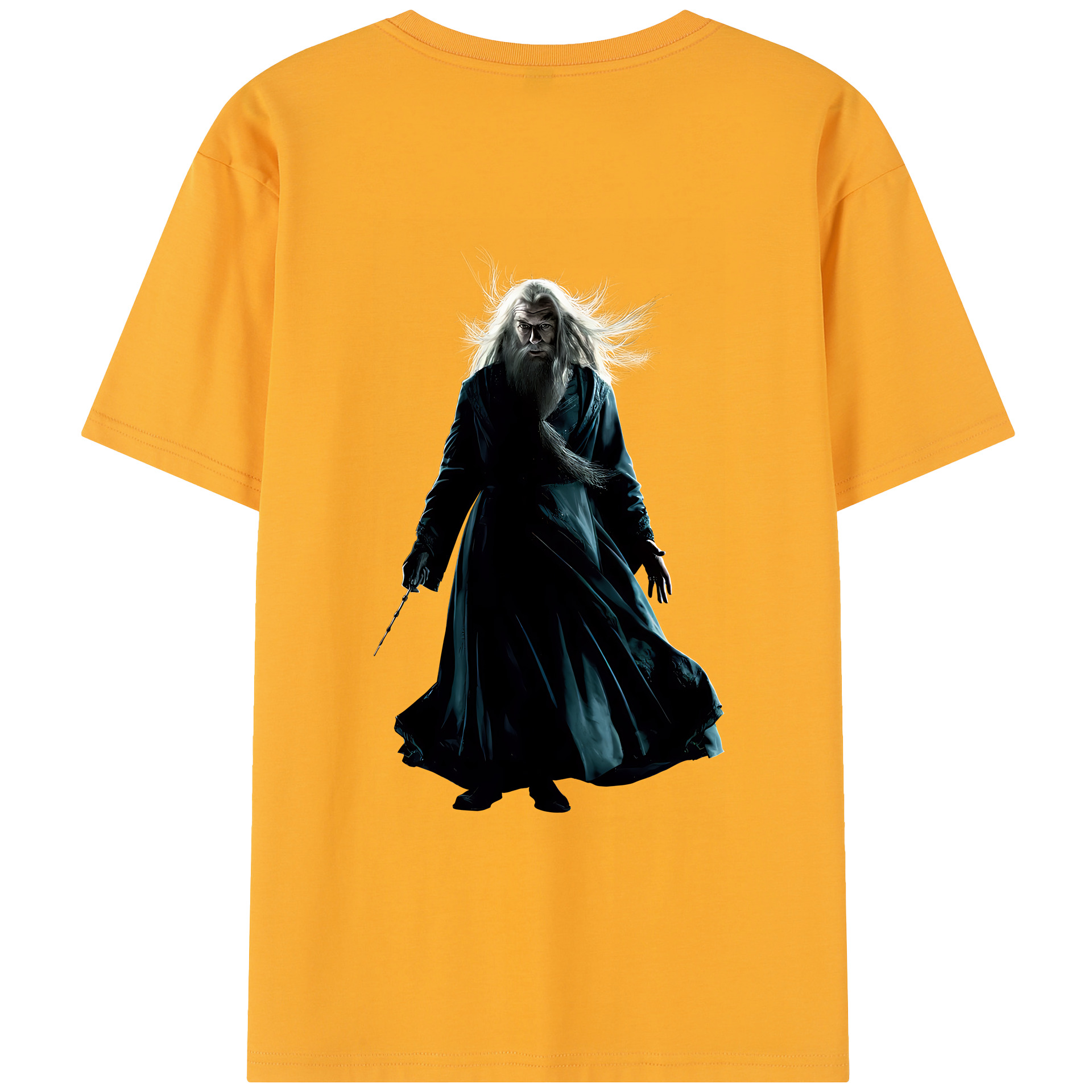 （画像用） Harry Potter ハリー・ポッターシリーズ レディース半袖Tシャツ(バックプリント)