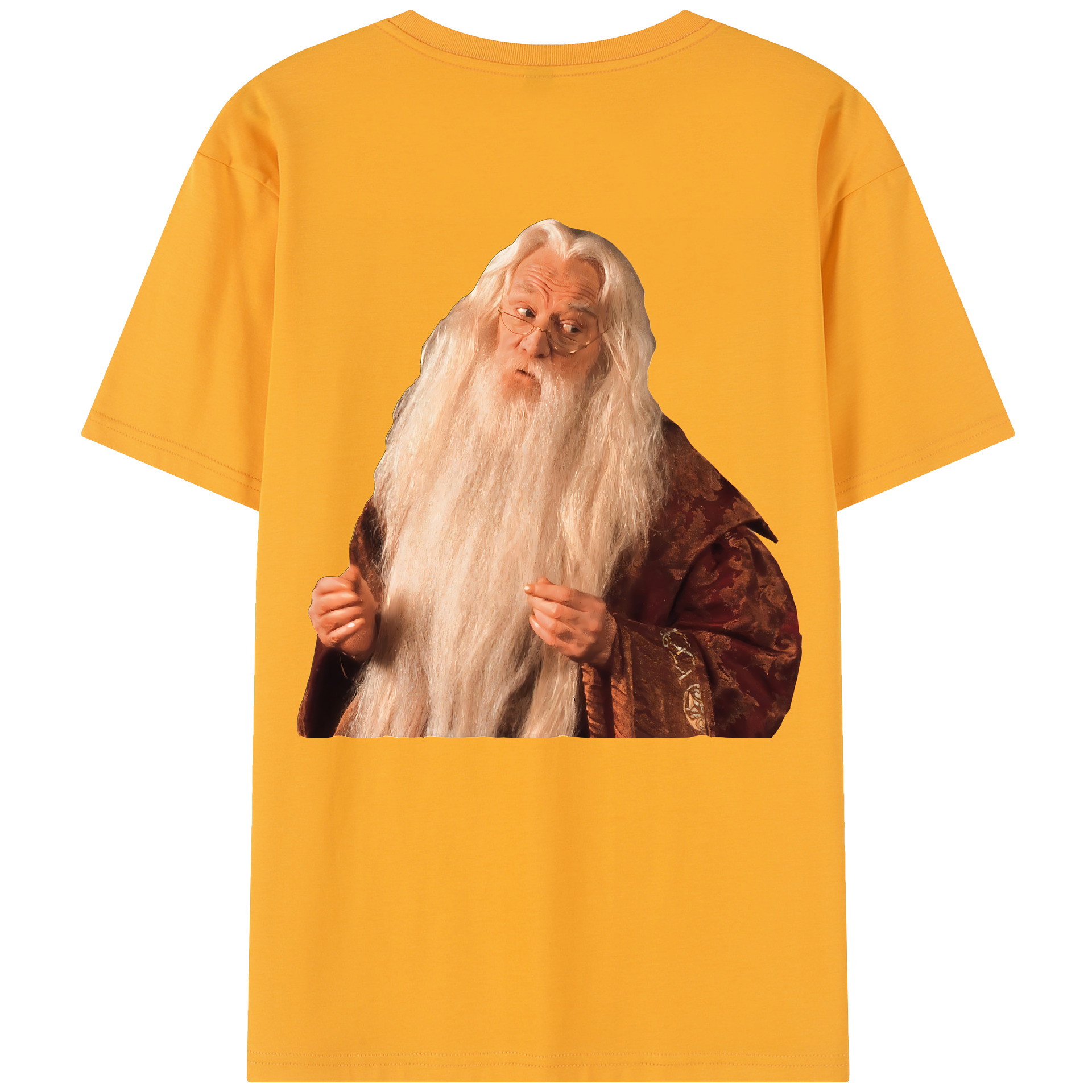 （画像用） Harry Potter ハリー・ポッターシリーズ レディース半袖Tシャツ(バックプリント)