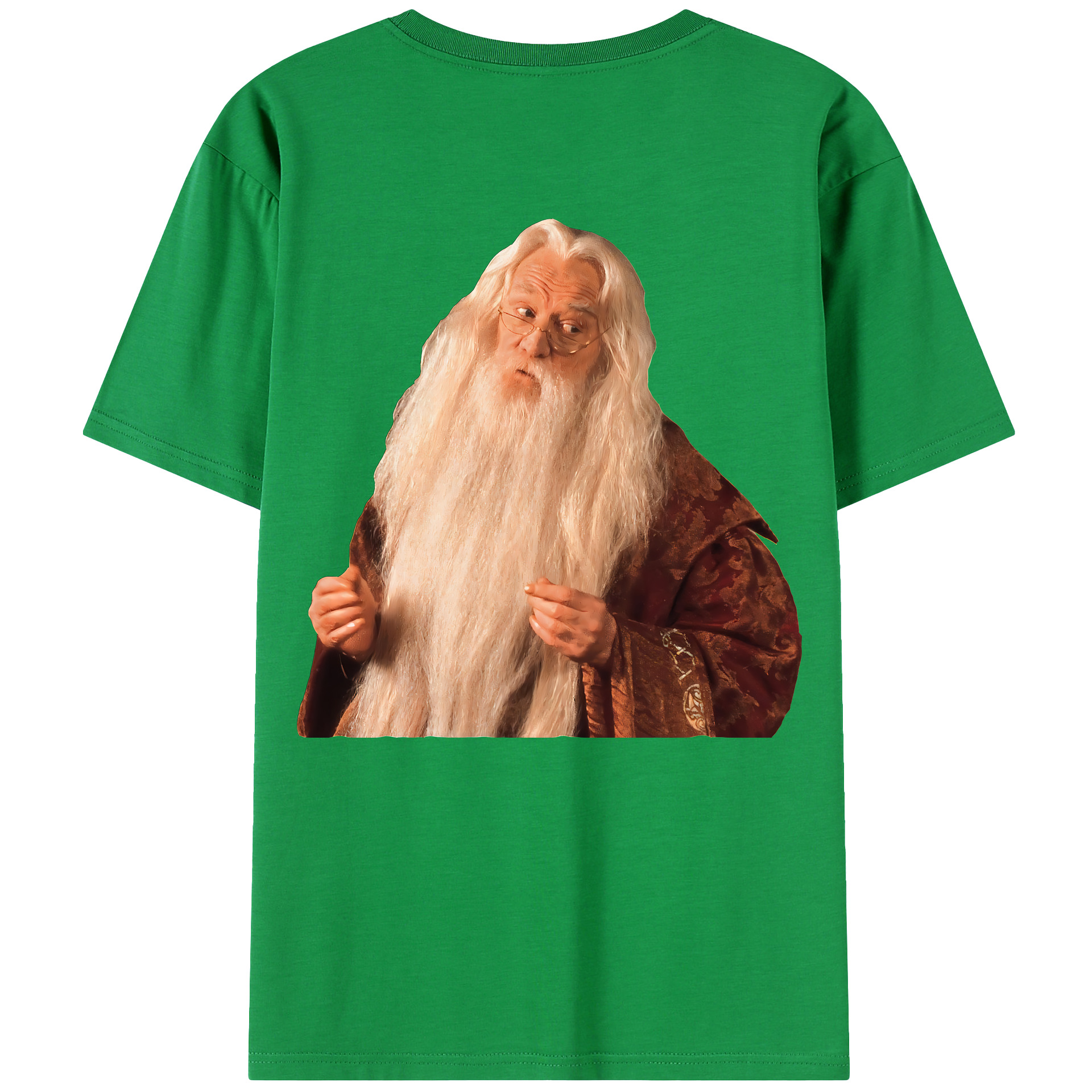 （画像用） Harry Potter ハリー・ポッターシリーズ レディース半袖Tシャツ(バックプリント)