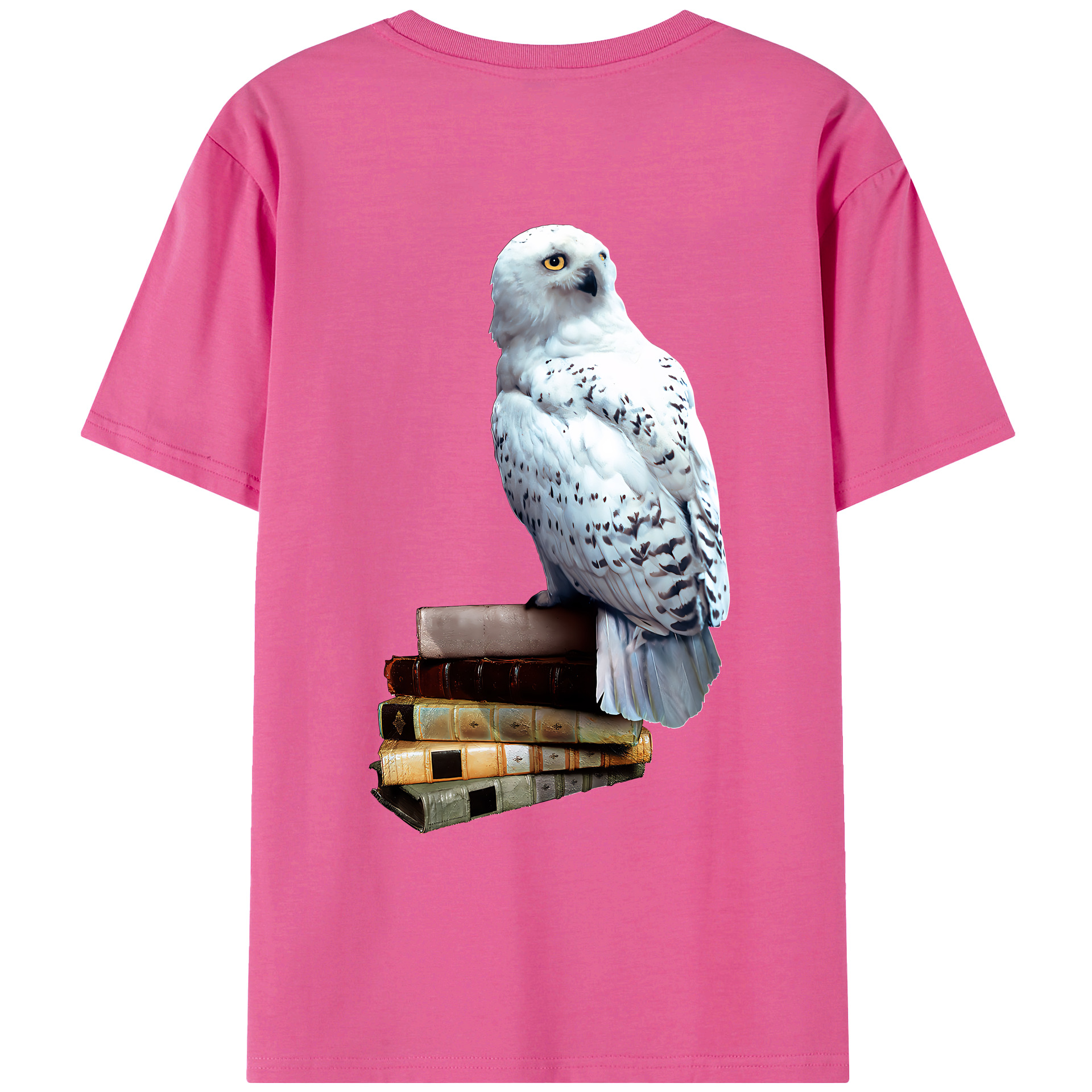 （画像用） Harry Potter ハリー・ポッターシリーズ レディース半袖Tシャツ(バックプリント)