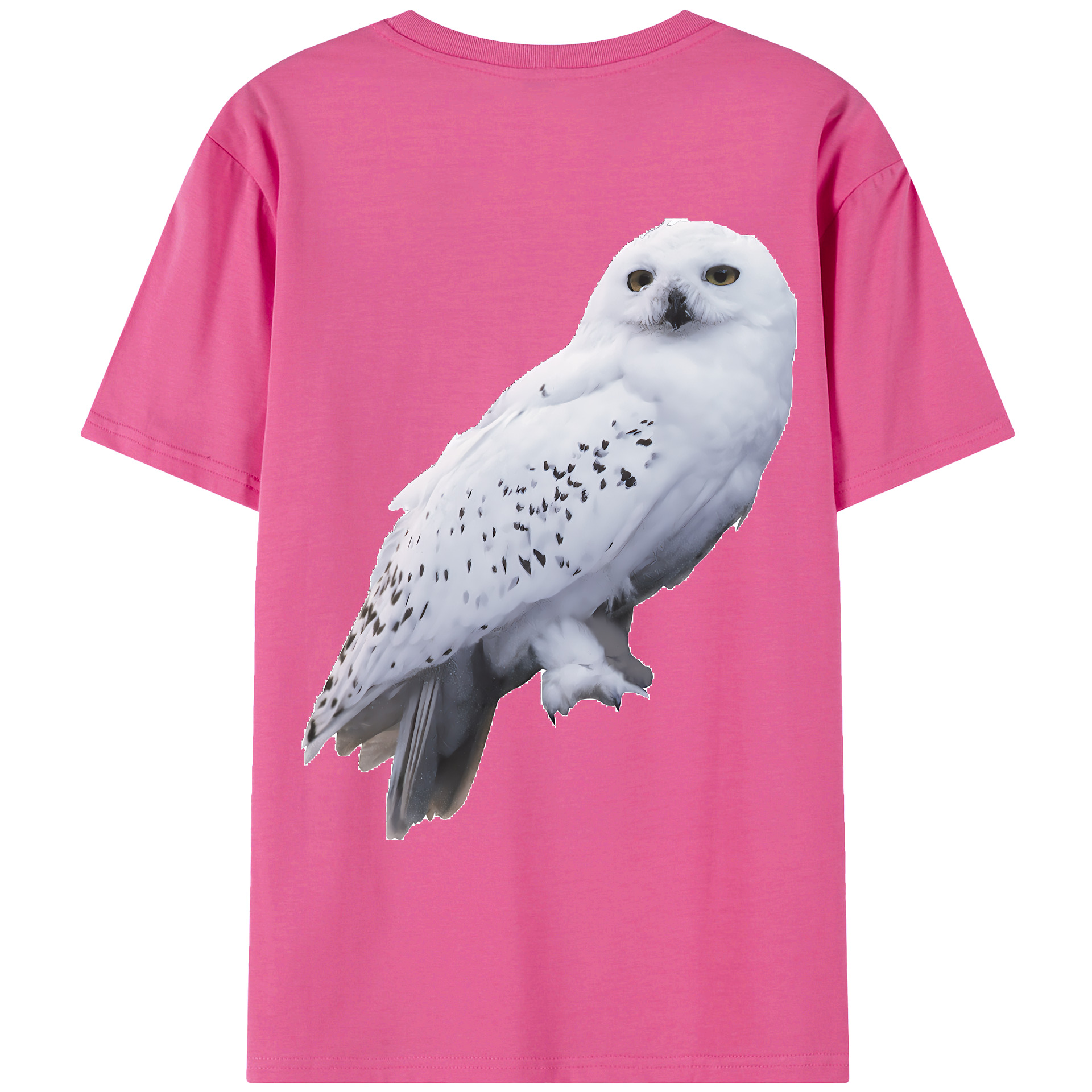 （画像用） Harry Potter ハリー・ポッターシリーズ レディース半袖Tシャツ(バックプリント)