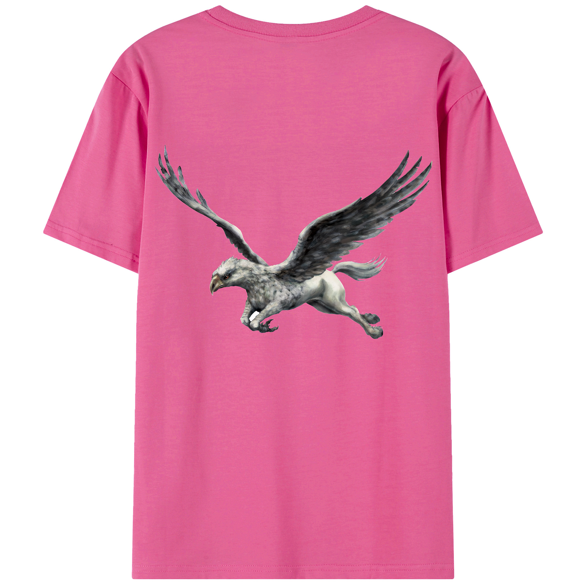 （画像用） Harry Potter ハリー・ポッターシリーズ レディース半袖Tシャツ(バックプリント)