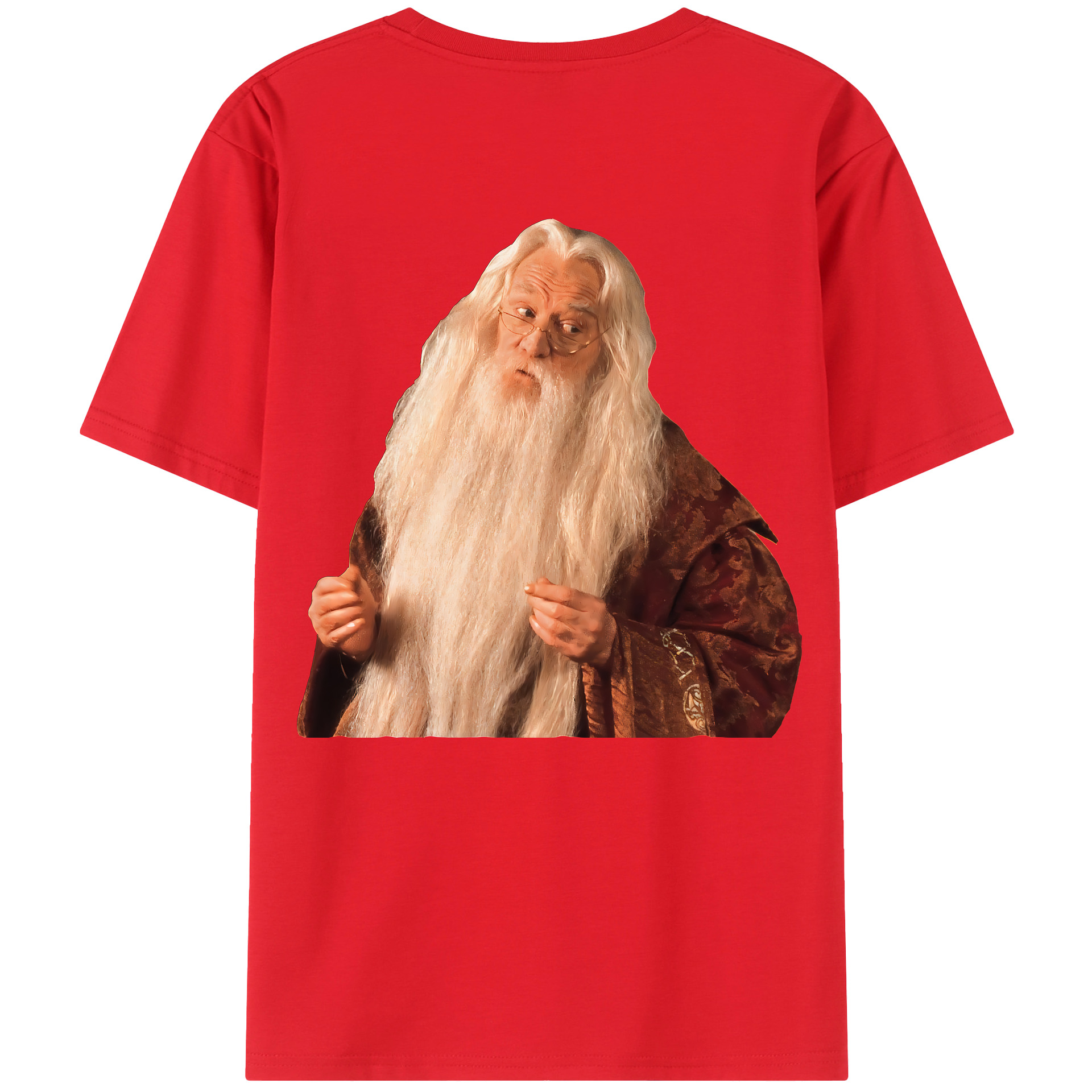 （画像用） Harry Potter ハリー・ポッターシリーズ レディース半袖Tシャツ(バックプリント)