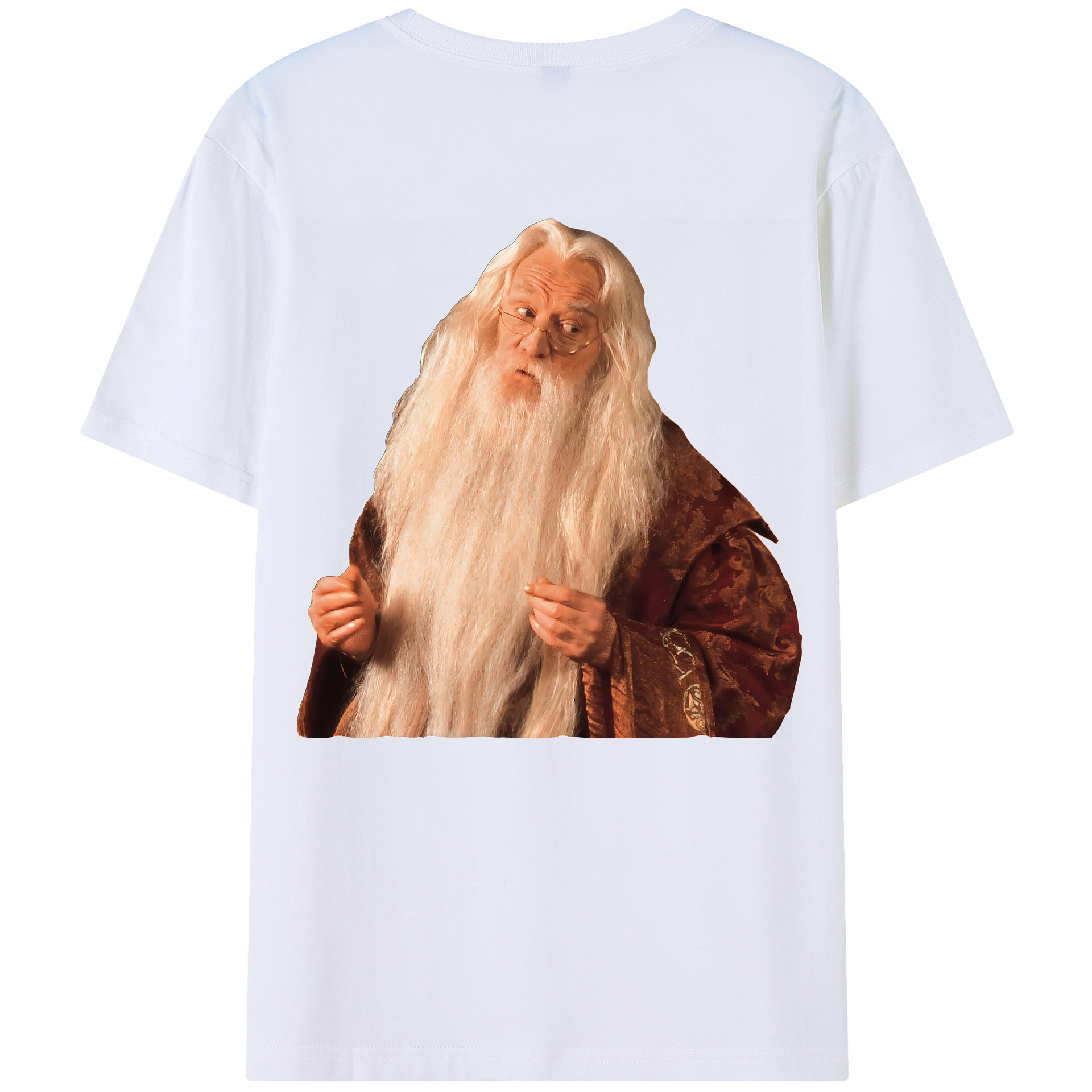 （画像用） Harry Potter ハリー・ポッターシリーズ レディース半袖Tシャツ(バックプリント)