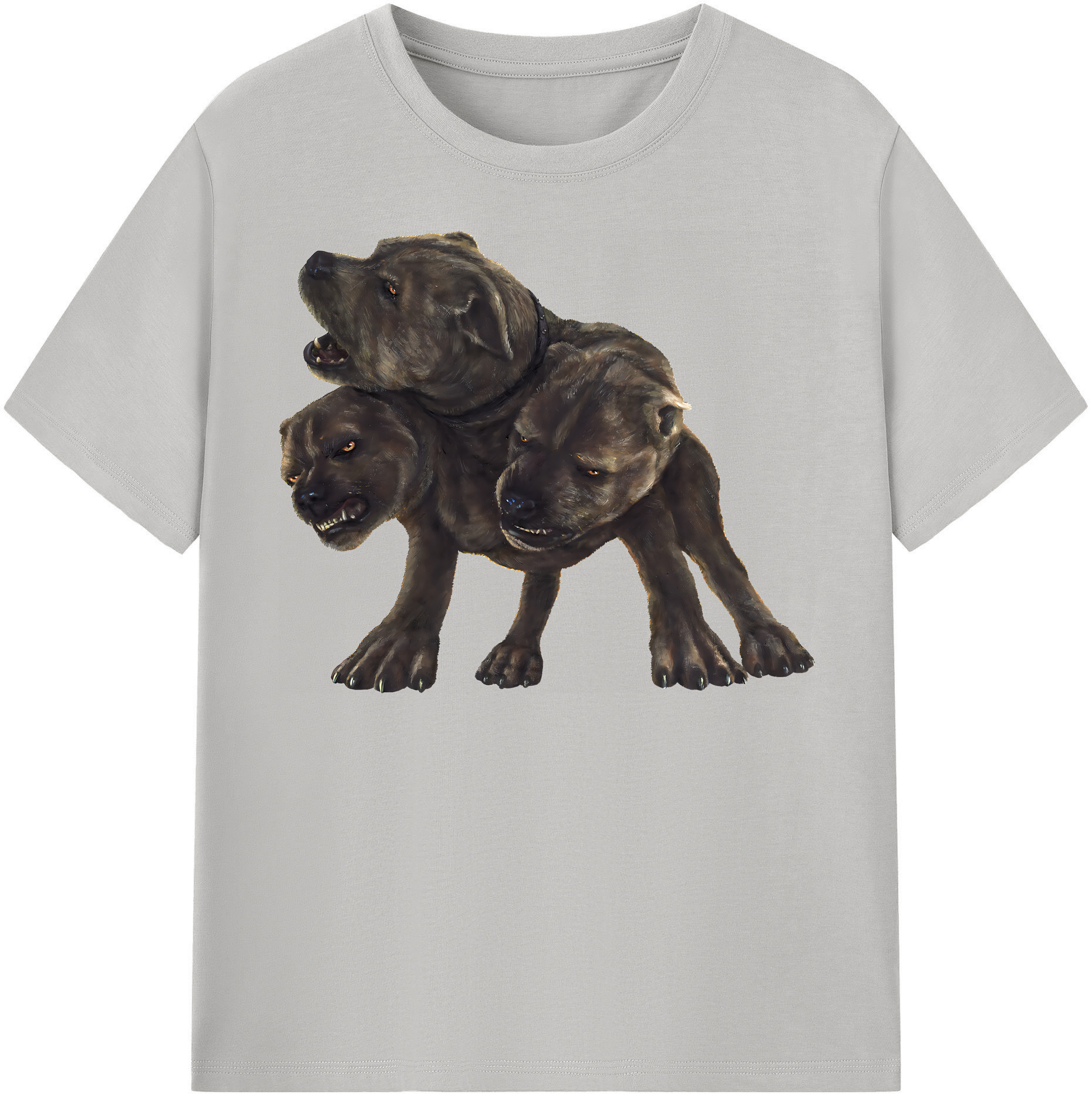 （画像用） Harry Potter ハリー・ポッターシリーズ レディースカジュアルプリントTシャツ（綿100％）