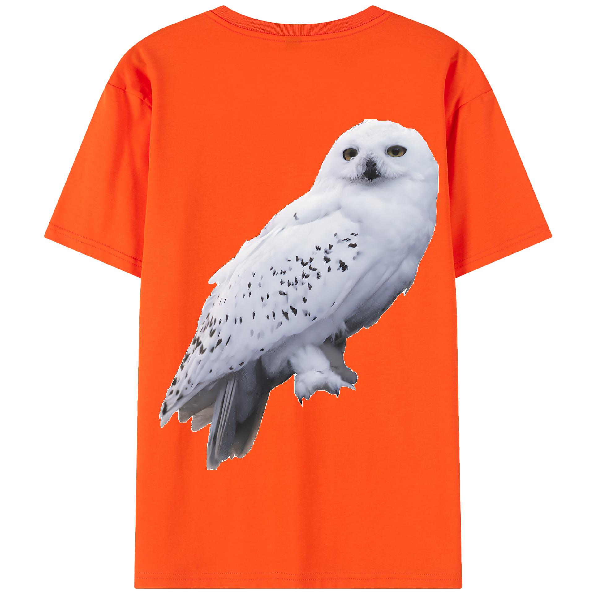 （画像用） Harry Potter ハリー・ポッターシリーズ 綿100％半袖Tシャツ（背面プリント）